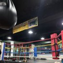 임재환 복싱월드 | 대전 복싱 입문은 여기! 임재환복싱월드 솔직 후기🥊