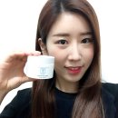 제일에스엔티