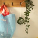 코아디자인 이미지