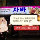치킨&비어 | 🍗 사바사바치킨&amp;비어 속초본점 방문 후기 | 파닭콤보 먹고 완전 만족