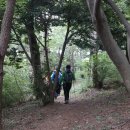 장군산 둘레길 이미지