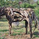 천지연로 이미지