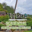 인백팜(주)화순농장 | [전북/익산시] 식물원&amp;키즈카페 여행 🌴왕궁 포레스트