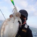 현주바다낚시(하하호호) 이미지