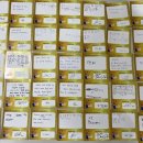 세화+해와달유치원 이미지