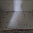 장유환경 네이버블로그