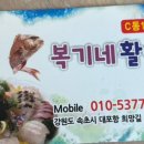 복기애견 이미지