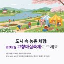 2025 고향마실축제 완벽 가이드: 세종호수공원에서 즐기는 농촌체험 대축제