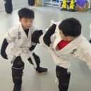 [김포 장기동] 우리 아이 코피 날 걱정 없는 '안심 호신술'? 카사도르 쿠도(KUDO)를 소개합니다!