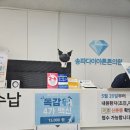 송파다이아튼튼의원 이미지