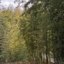 담양을 담다 이미지