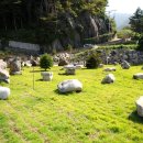 행복한 펜션 이미지