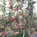 이재형농장 이미지