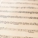 플루트 1:1 개인레슨 이미지