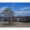 푸른농원 이미지