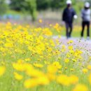 낙동투어㈜ 이미지