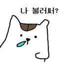 청룡전자 이미지
