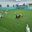 멍블리하우스 이미지