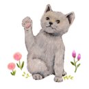 달래캐터리 이미지