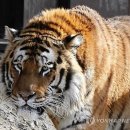 경호목장 이미지