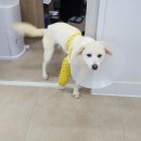 진천동물병원 이미지