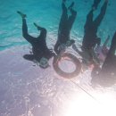 Rain FITNESS | 헤난 프리미어 코스트 리조트 ㅡ 보홀 아기랑 여행 후기 ,내돈내산 호핑투어 [1편]