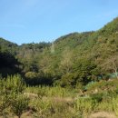 내서읍371 이미지