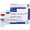 날으는 동물병원 이미지