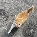 풍세면작은도서관 이미지