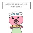 조코치의 수영교실 이미지