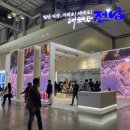 엑스포 이미지