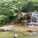 곡성-211 이미지