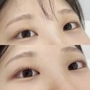 호매실 속눈썹펌 봉쥬르래쉬 가을쌤 후기🎀 자연스러운 L컬 추천!