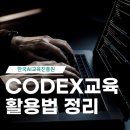 지식인력개발형태 | 개발 몰라도 쓰는 OpenAI Codex 활용법, 비개발자 codex교육 정리