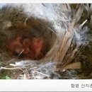 창공농장 이미지