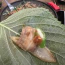 포차와술한잔 | [대전] 한식 포차 ‘장대 마루’에서 술 한잔 후기