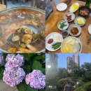 (주)대창가스 | [대구 중리동] <물레 불고기 식당> 대창곱창전골 맛집 / 이현공원 산책 / 수국 개화