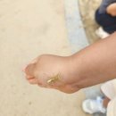 마도리 | 7월 1주 기록_버블쇼, 도서관