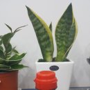 어릴적 추억 이미지