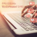 주택시장에 부는 '핀스킨(Pinskin)'마케팅 이미지