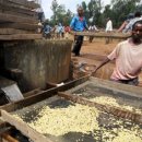 카페 콩가 이미지