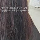 비스타헤어 이미지