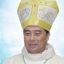 18/02/13 Vatican deal with China moves closer - After a Rome-sanctioned bishop agreed to stand aside, the only impediments to an agreement are two bis 이미지
