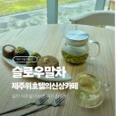 주식회사공감건설 | 제주 위 호텔 신상 카페 슬로우 말차