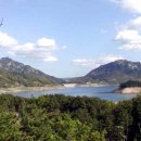 88자동차1상사 이미지