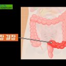 옷대장 이미지
