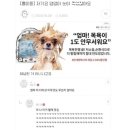 달씨 이미지