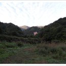 새골민박 Daum카페