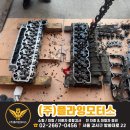 대형정비 | 대형트럭 타타대우 노부스 냉각수 누유 &amp; 출력 저하 해결! - 서울 대형차 정비소 NEF 엔진 정비 사례