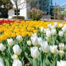 갬성겜방 이미지